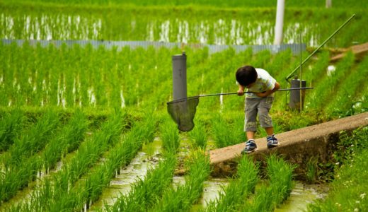 サッカー大国鹿児島で小学生で強いチームはどこ？